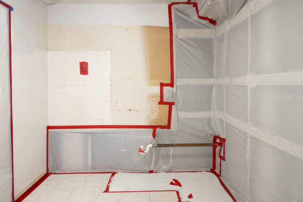 Best Mold Remediation for Rental Properties  in USA